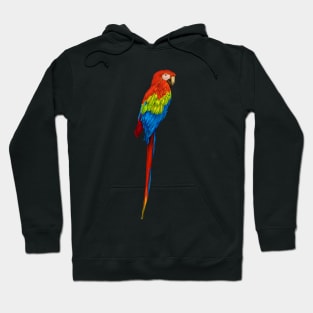 parrot Hoodie